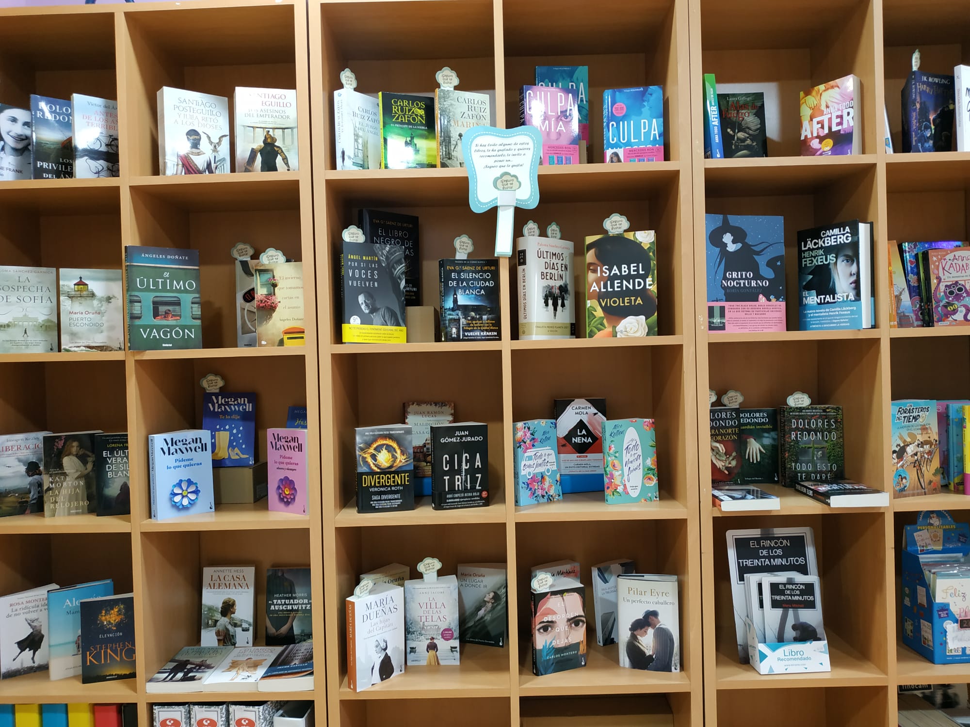 Libros en La Papelería de Elena
